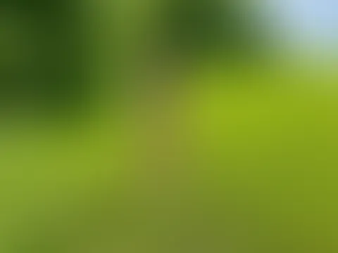Im Spitzendessous auf der Wiese posieren