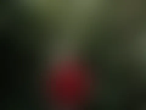 ❤️🌿 - #2