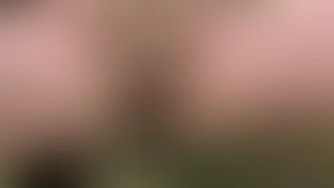 P**sen