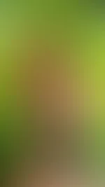 Das licht tanzt durch die Blätter, mein Herz schlägt im Takt der Natur... und deiner Blicke 💕😘 Spürst du es auch? 🤭 Schreibe mir wenn du auch Lust auf mehr hast... 🔥 The light dances through the