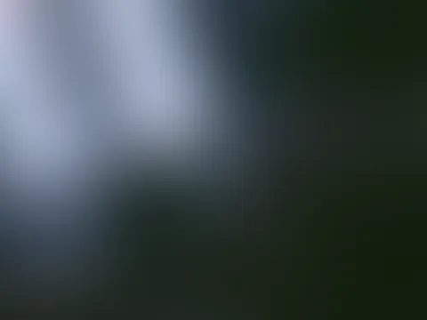 Schau dir mein neues Netzdessou an