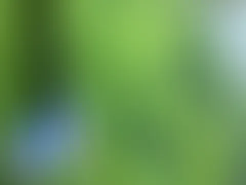 Deine Göttin unter der Sonnenbank 😈😜