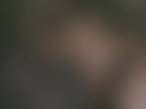🖤