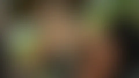 Hi there, lovelies! I’d love it if you could send me a nice message sometime!