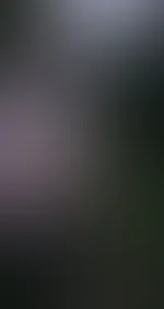 Waldspaziergang Teil 3, aufgespreizt