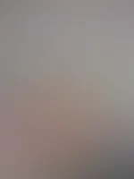 đ