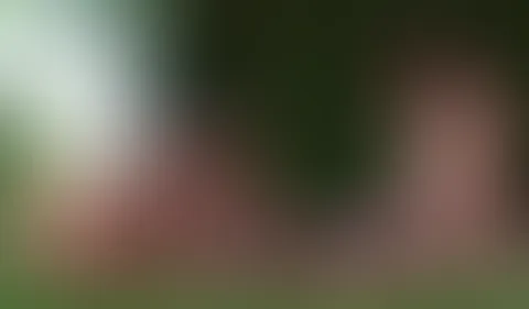 User Dreh - und dann gleich mit 2 Mietzen Teil 2.0