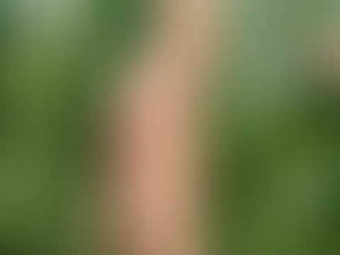 Komplett nackt stehe ich im Maisfeld