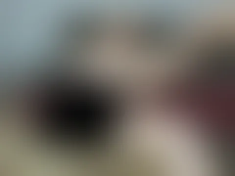 A**L