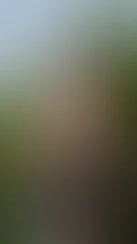 Upsi da ist mir doch glatt mein Kleid aufgegangen