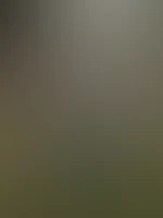 Pilze hab ich keine aber dafür 2 Möpse gefunden 😜