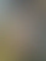 Was braucht eine Frau um dich glücklich zu machen?