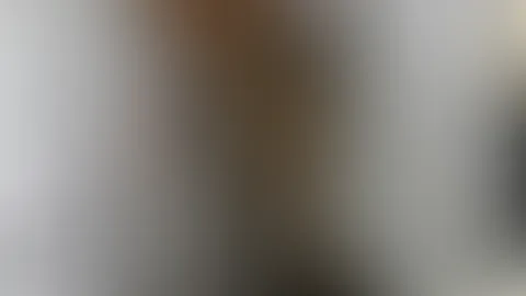 Heute laufen gleich mehrere Projekte gleichzeitig 💻📚