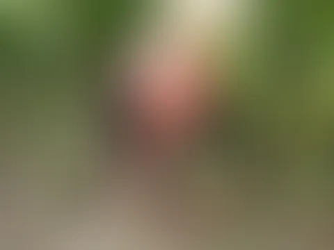 Spass im Maisfeld mit Maiskolben