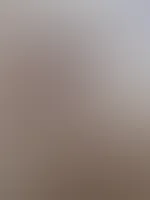 Könntest du zu mir Nein sagen…?