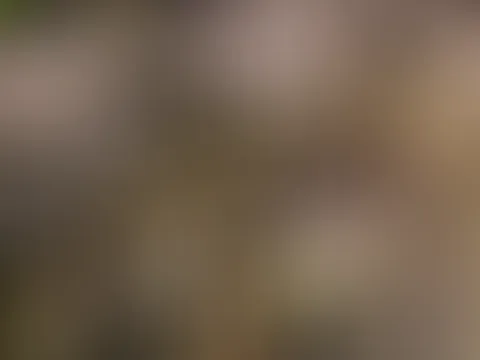 unschuldig aber sexy