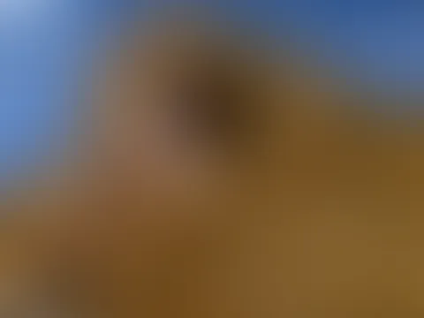 Upskirtalarm auf den Strohrundballen