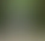 Die Trucker folgten mir mit ihren Blicken – bis ich meine großen Brüste plötzlich freigelegt hab 💦 Hättest du gedacht, dass das alles ist? #frau #milf #bbw #busen #kurvig #reif #sexy