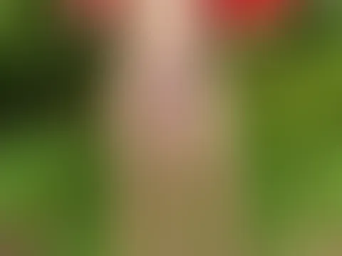 Hopp Schwiiz 🇨🇭⚽️Ps: im Abo halte ich den Schal hoch in die Luft und präsentiere beim Anfeuern meine nackten Milf Tittchen