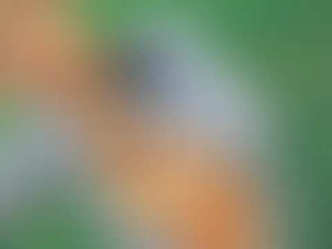 Camping kann so unschuldig sein... oder auch nicht. 😏 Nach meiner Dusche habe ich noch ein paar ganz besondere Bilder für euch gemacht ❤️✨️