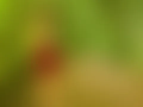 Was ich da wohl wieder getrieben habe