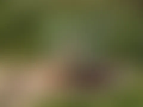 Doppelt erwischt am See (Gefilmt vom Spanner)