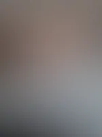 Gutes träumen 💤🌻