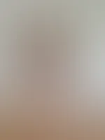 Vom Neuen Privaten Inhalt