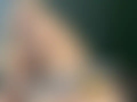 Bilder meiner wunderschönen 🐱🐱