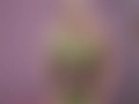 💋Heiße Kurven und hübsches Gesicht