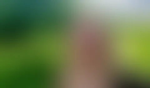 wer bin ich? wo komm ich her? was möchte ich? dazu ein kleines & kurzes Video für euch :)