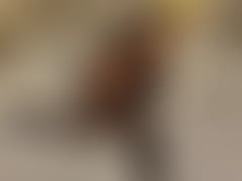 Heiße Versaute Bilder auf meinem verrückten urlaub 😵😳💦💦❤️😜