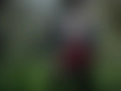 Mega Tag im Wald