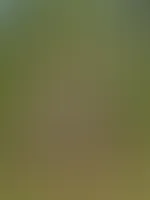 Der Sommer neigt sich dem Ende… aber ein paar heiße Erinnerungen hab ich noch für euch 😘