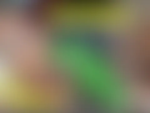 PlastikNutte : BlowJob Dreams