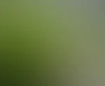 Immer schön in die ÜBERWACHUNGSKAMERA lächeln