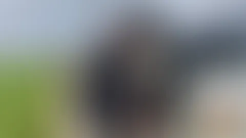 CHECK ends in a body search followed by a**l s*x