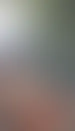 Darf ich auch dich reiten?