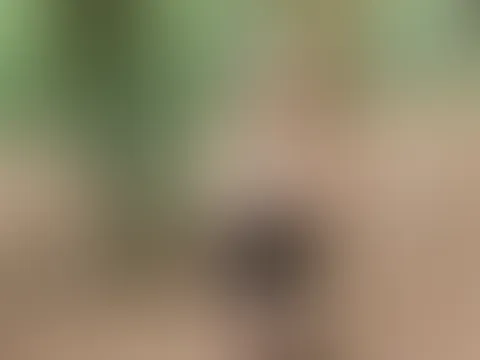 Wünsche dir einen guten Start in den Tag 🤍