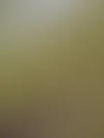 Was hab ich jetzt vor? Rate mal.