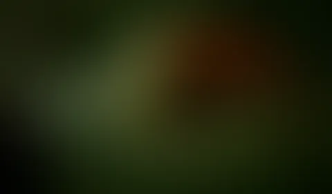Eines meiner ersten Video…Einfach mit gefilmt…