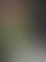 Es wird bald wieder Sommer🔥 Das heißt heiße Bikinis🥵