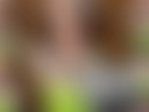 Bis zum Orgasmus gefingert