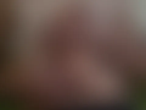 đ