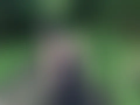 🌲🔥 Neues Outdoor-Video jetzt online 🔥🌲 Die Stimmung draußen war einfach zu gut… 😈💦 Das komplette Video wartet jetzt auf euch ❤️