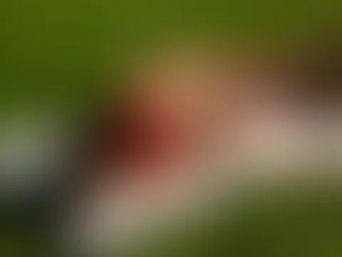 Beim Picknick verführt! 18+ GirlGirl mit Firefarmfranzi