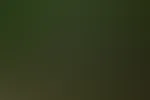 neues JohnDeere Album kommt in kürze online ♥