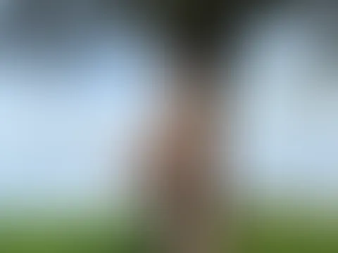 Ich lehne im sehr transparenten Dessous am Baum und warte auf dich…