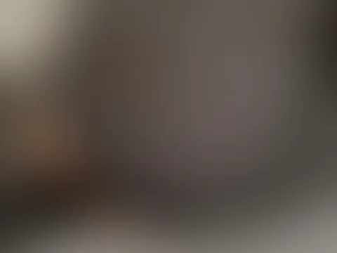 đ