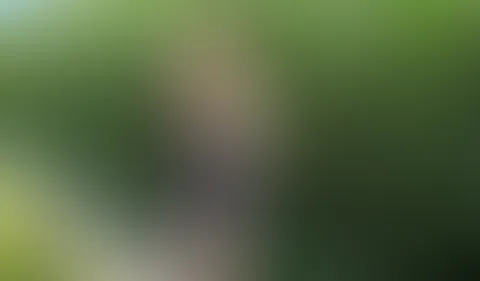 Hast du so etwas schon einmal gesehen? - MAISERNTE mal anders!